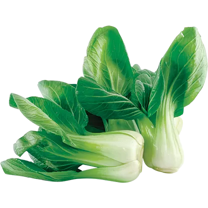 Dag Vers Shanghai Pak Choi