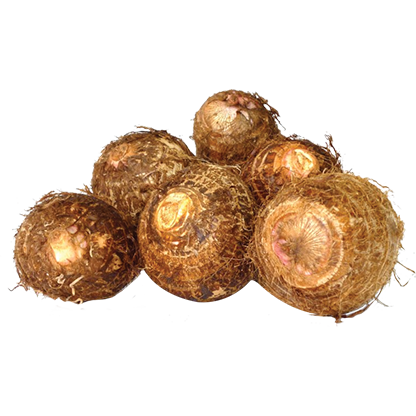 Eddo Amazing Oriental