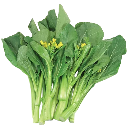 Dag Vers Choi Sum