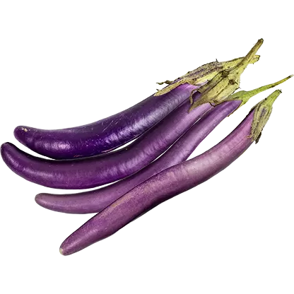 Dag Vers Chinese Aubergine