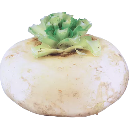 Dag Vers Pan Choi