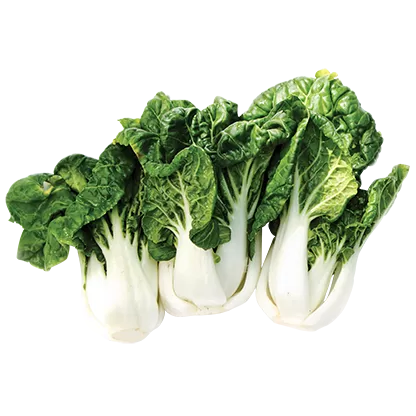 Mini Pak Choi