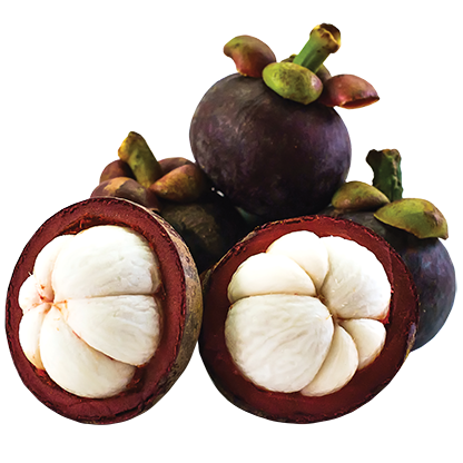 Mangosteen - Amazing Oriental