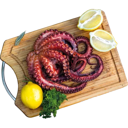 Octopus Tentakels