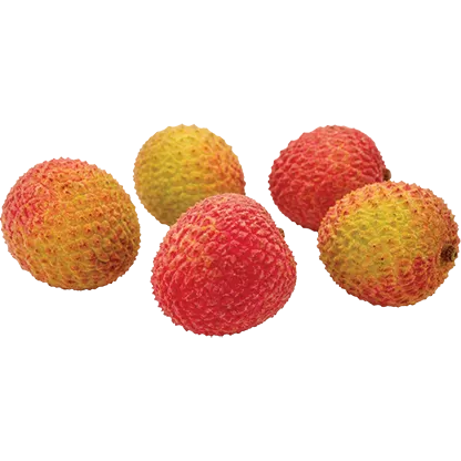 Dag Vers Lychee (Fei Zi Xiao)