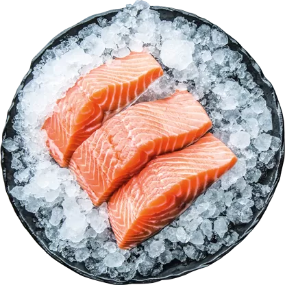 Zalmfilet
