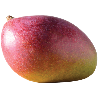 Palmer Mango - Amazing Oriental