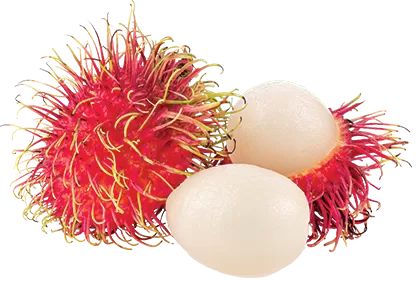 Dag Vers Thai Rambutan