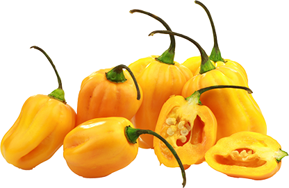 Peper Madame Jeanette