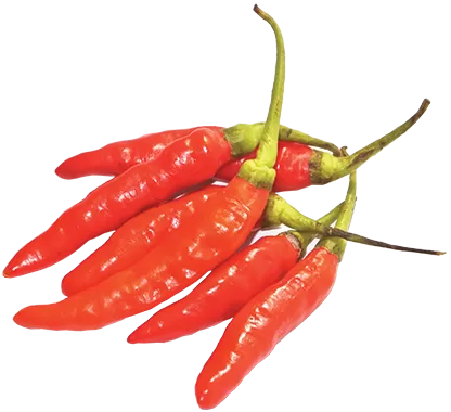 Rawit Rood