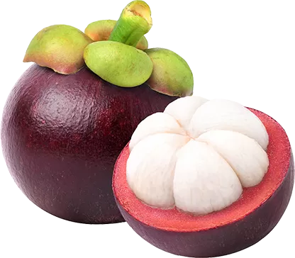 Dag Vers Mangosteen